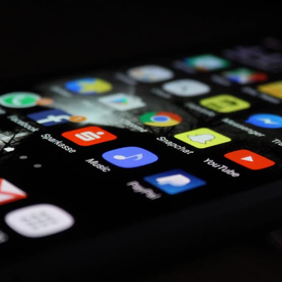 PayPal Button ändern