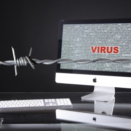 Free images computer virus